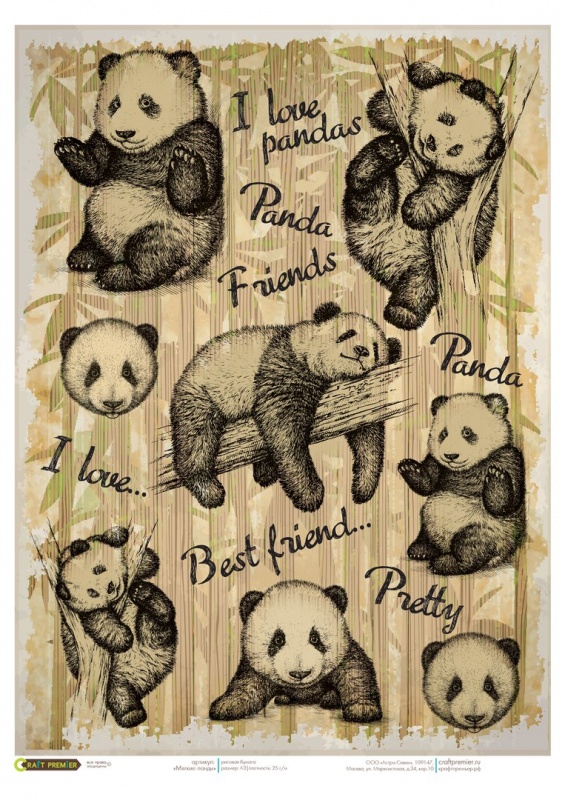 картинка Рисовая бумага для декупажа "Craft Premier", A3, 25г/м, "Мягкие панды"