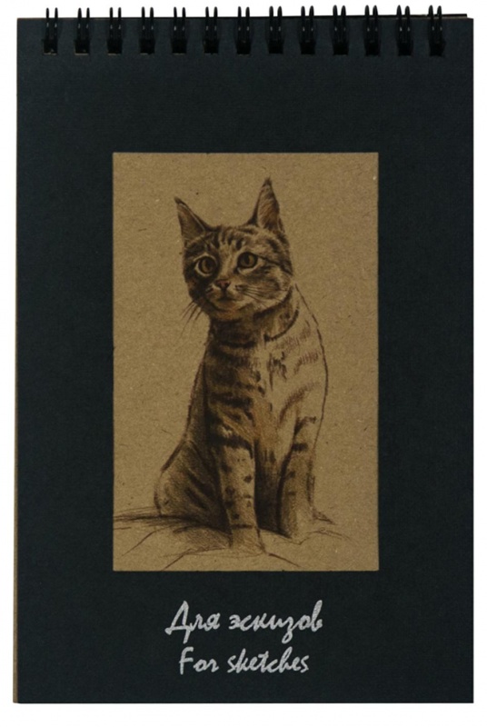 картинка Блокнот для эскизов "Котенок" А5 50л.