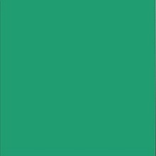 картинка Маркер "SKETCMARKER" (2 пера: долото и тонкое), цвет Lush Green (Сочный зеленый)