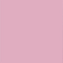 картинка Маркер "SKETCMARKER" (2 пера: долото и тонкое), цвет Figs (Инжир)
