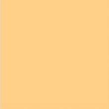 картинка Маркер "SKETCMARKER" (2 пера: долото и тонкое), цвет Mango (Манго)